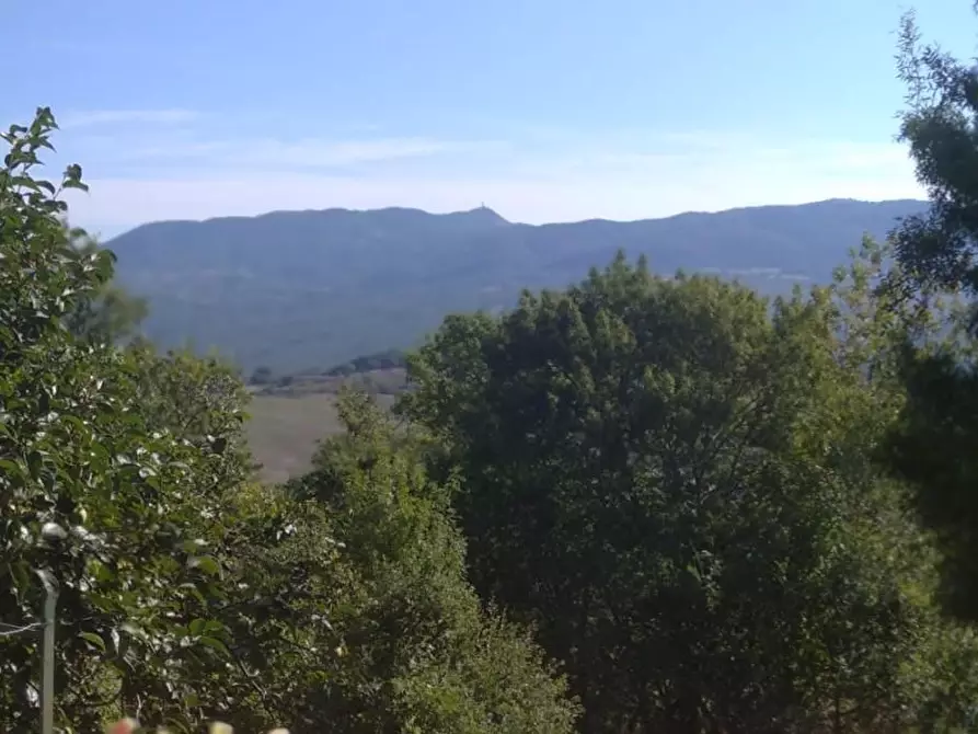 Immagine 17 di Porzione di casa in vendita  a Semproniano