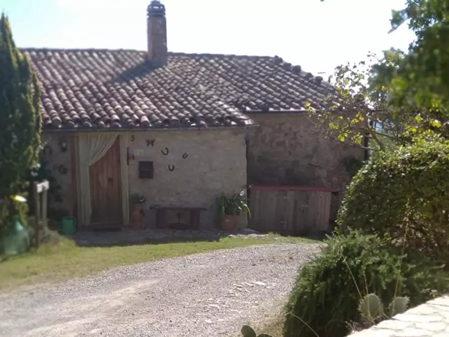 Immagine 3 di Porzione di casa in vendita  a Semproniano