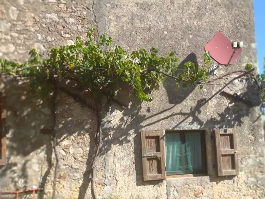 Immagine 29 di Porzione di casa in vendita  a Semproniano