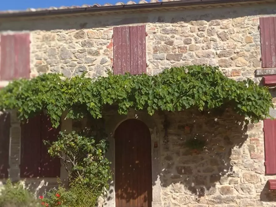 Immagine 34 di Porzione di casa in vendita  a Semproniano