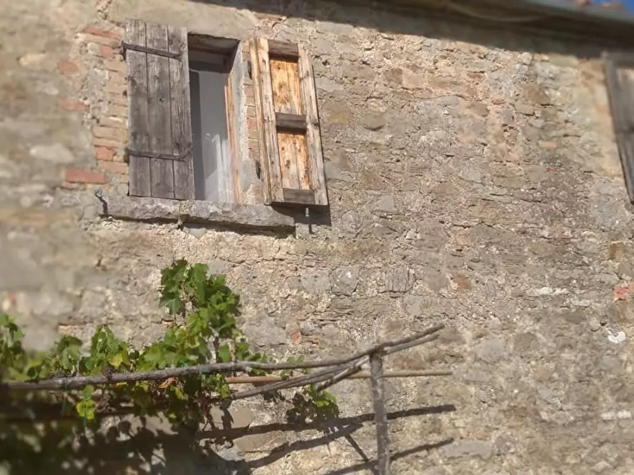 Immagine 31 di Porzione di casa in vendita  a Semproniano