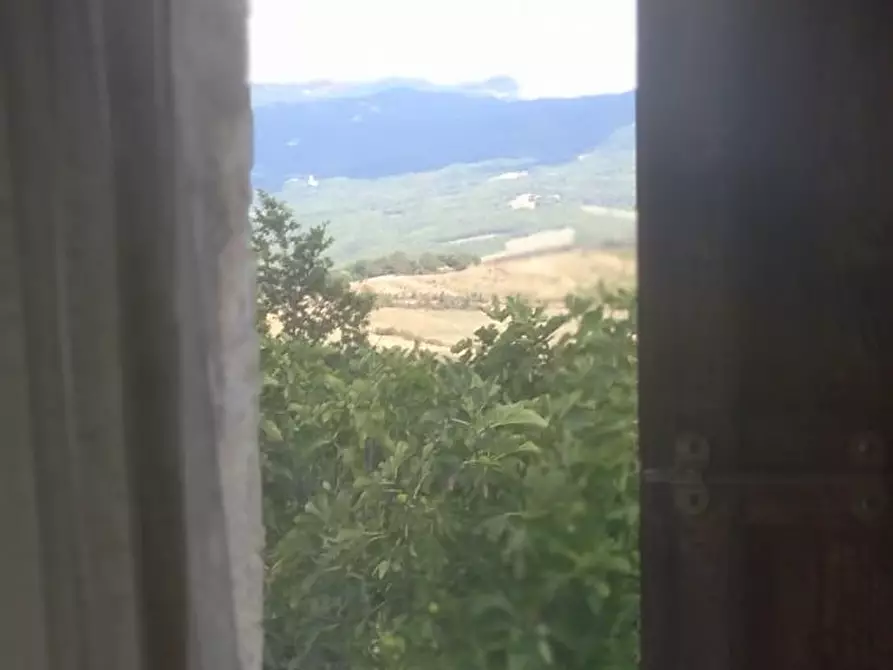 Immagine 13 di Porzione di casa in vendita  a Semproniano
