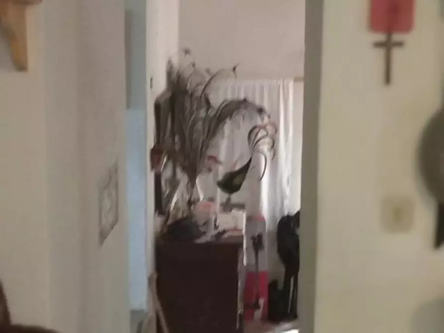 Immagine 7 di Porzione di casa in vendita  a Semproniano