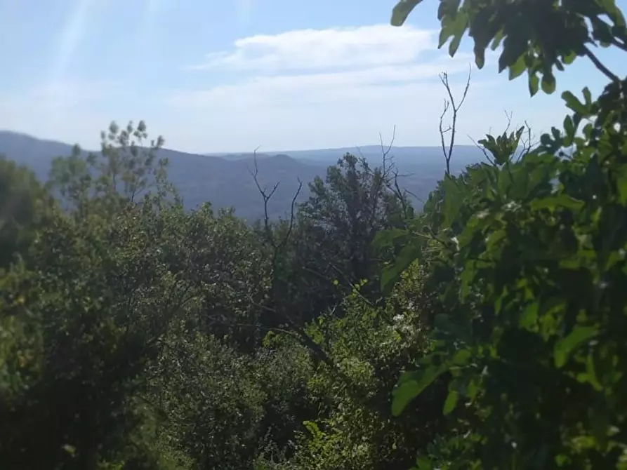 Immagine 28 di Porzione di casa in vendita  a Semproniano