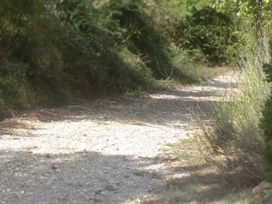 Immagine 21 di Porzione di casa in vendita  a Semproniano