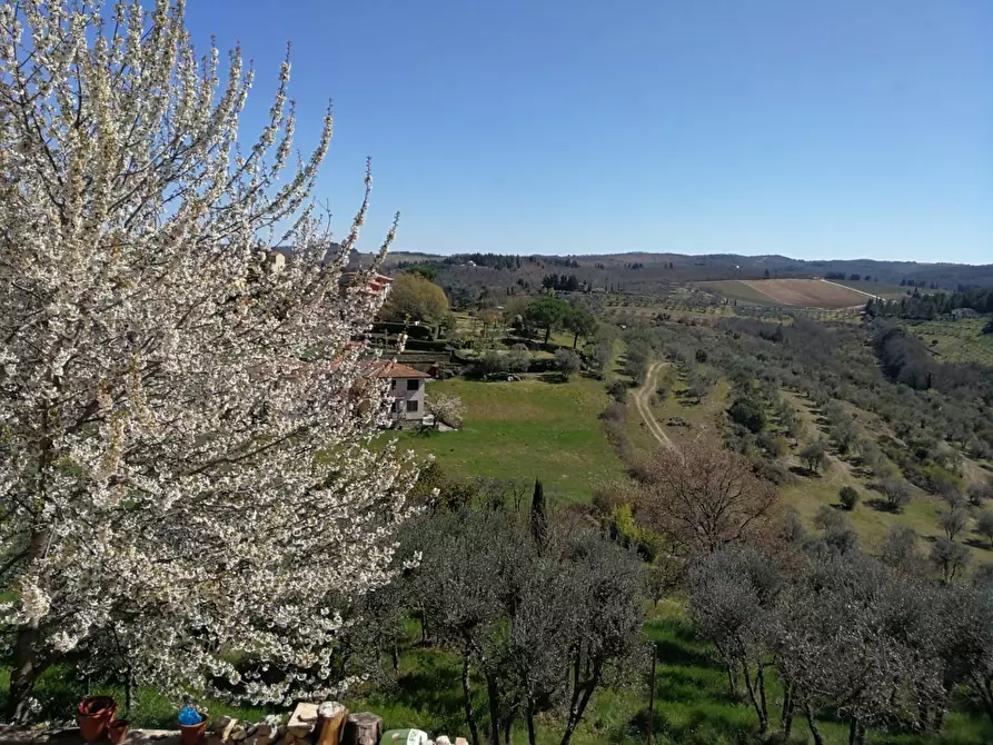 Immagine 13 di Appartamento in vendita  a Barberino Tavarnelle