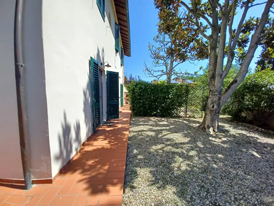 Immagine 23 di Casa colonica in vendita  a Capraia E Limite