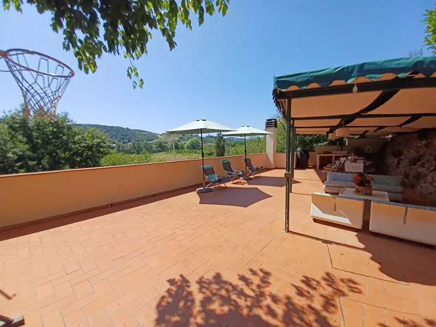 Immagine 21 di Casa colonica in vendita  a Capraia E Limite