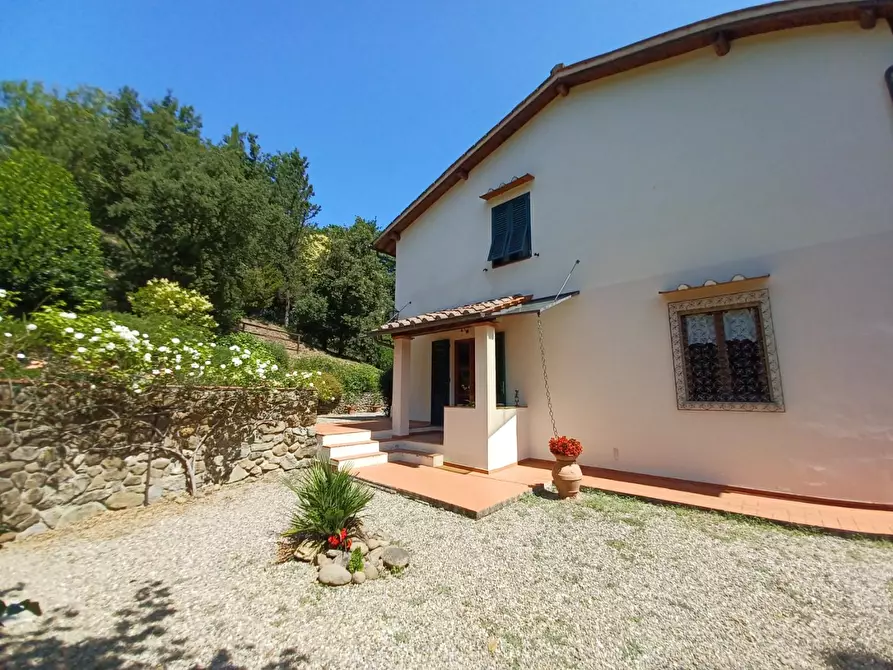 Immagine 29 di Casa colonica in vendita  a Capraia E Limite