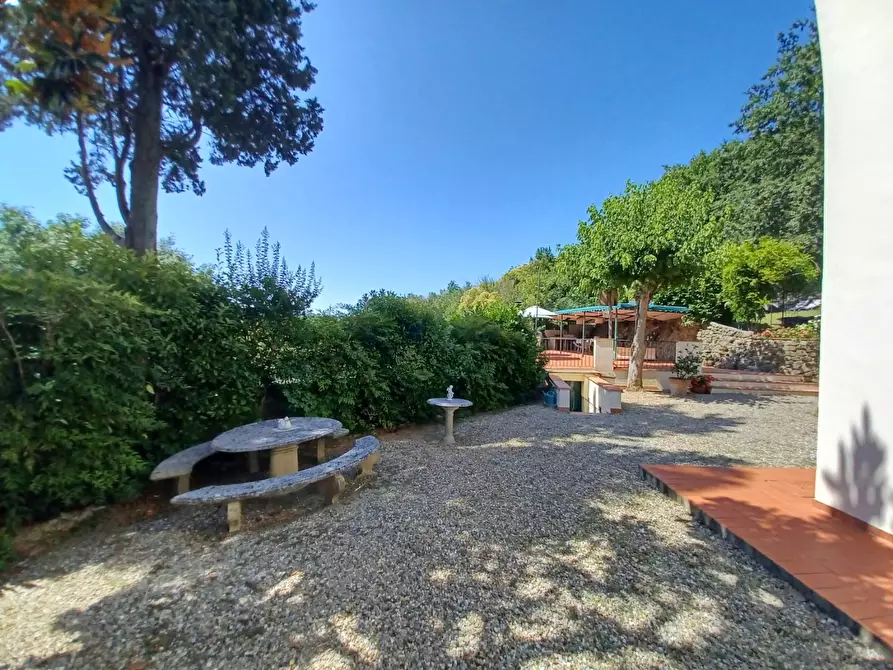 Immagine 24 di Casa colonica in vendita  a Capraia E Limite