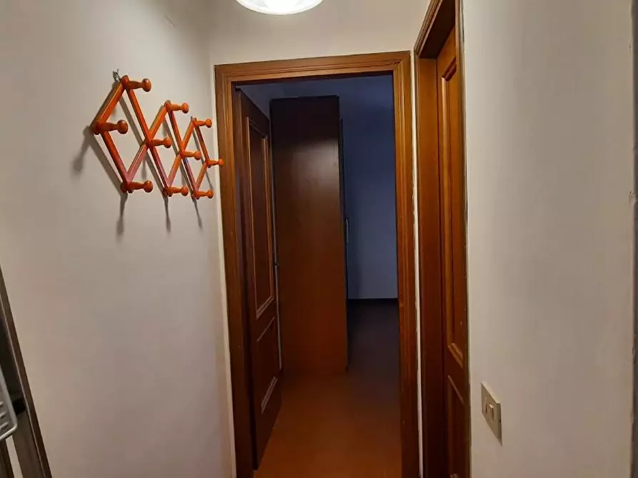 Immagine 11 di Appartamento in affitto  a Pisa