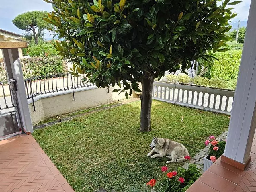 Immagine 10 di Villa in vendita  a Massa