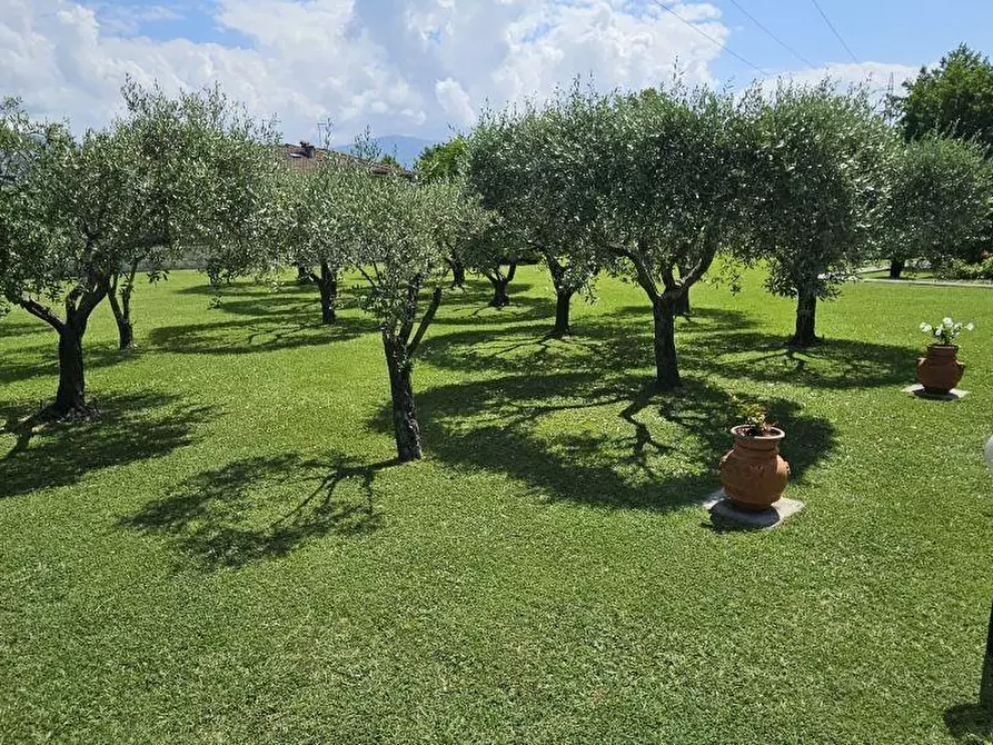 Immagine 6 di Villa in vendita  a Massa