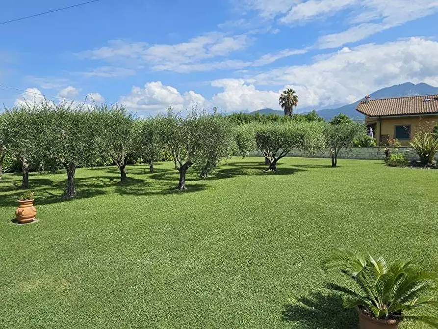 Immagine 5 di Villa in vendita  a Massa