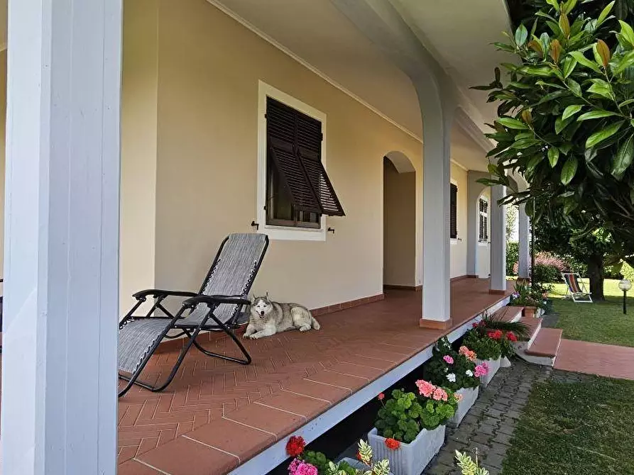 Immagine 3 di Villa in vendita  a Massa