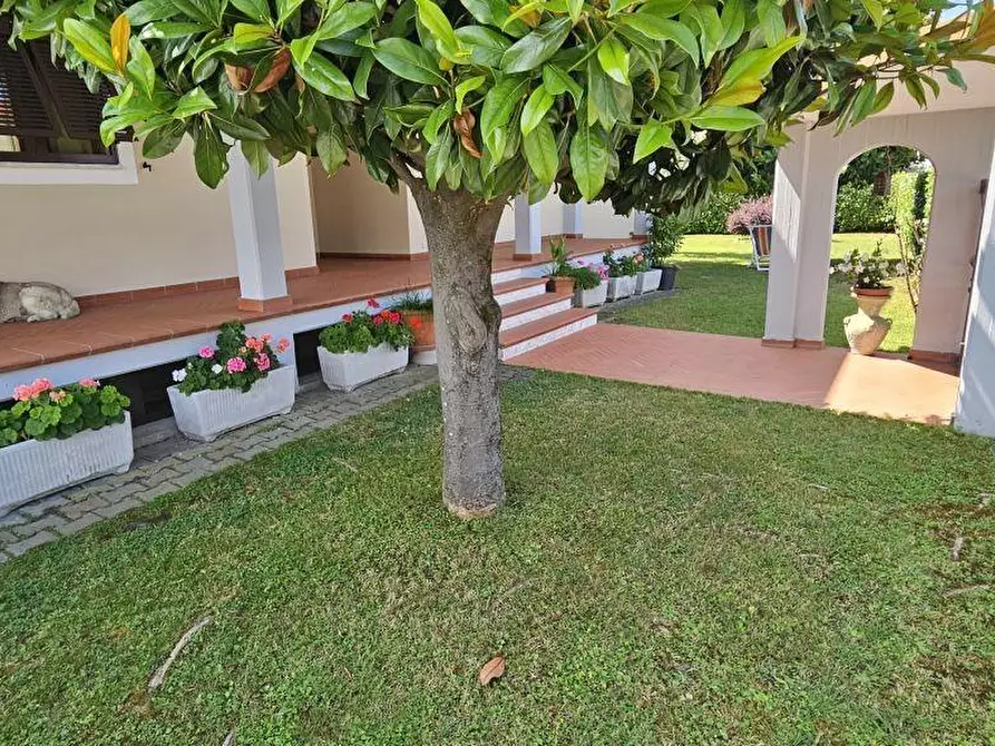 Immagine 7 di Villa in vendita  a Massa