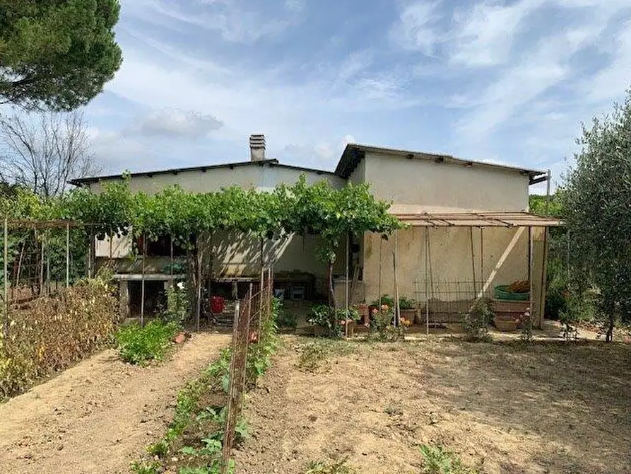 Immagine 2 di Terreno agricolo in vendita  a Empoli