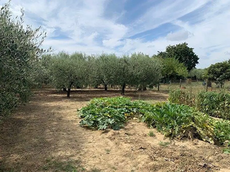 Immagine 3 di Terreno agricolo in vendita  a Empoli