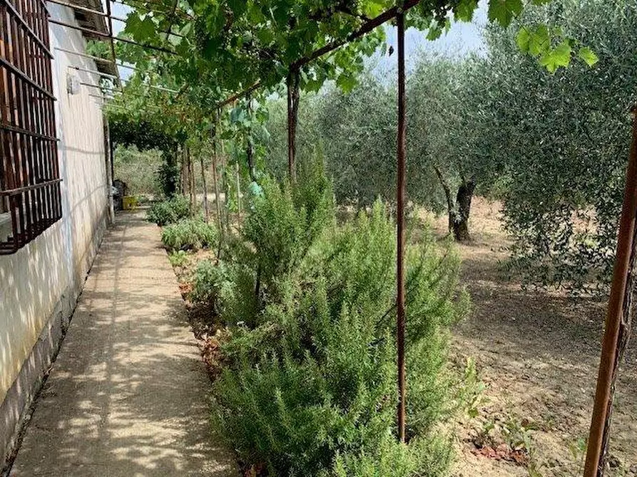 Immagine 6 di Terreno agricolo in vendita  a Empoli