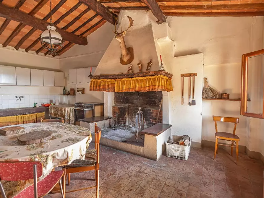 Immagine 22 di Casa colonica in vendita  a Palaia