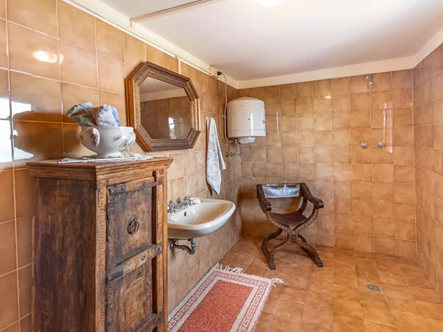 Immagine 21 di Casa colonica in vendita  a Palaia
