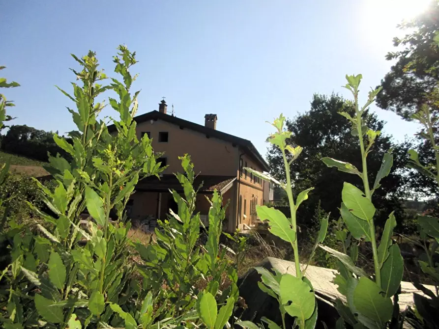 Immagine 1 di Casa colonica in vendita  a Empoli