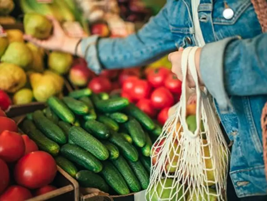 Immagine 3 di Alimentari in vendita  a Empoli