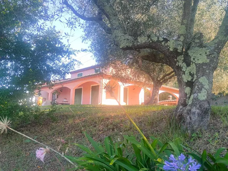 Immagine 2 di Casa indipendente in vendita  a Sarzana