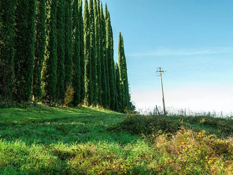 Immagine 2 di Casa colonica in vendita  a San Miniato