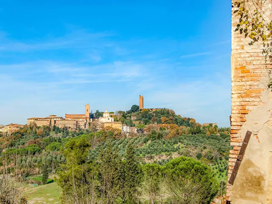 Immagine 3 di Casa colonica in vendita  a San Miniato