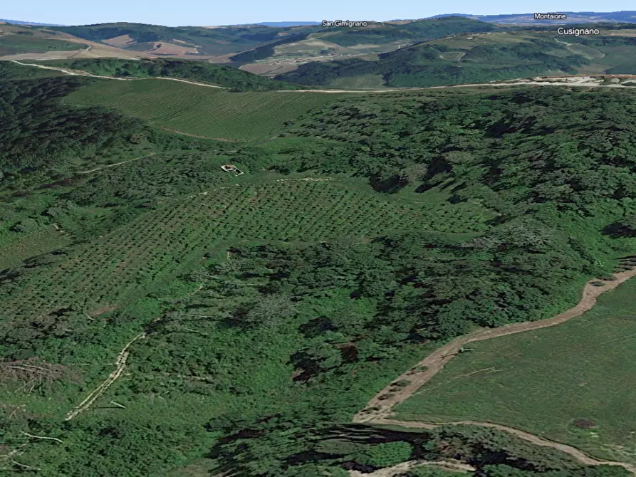 Immagine 16 di Casa colonica in vendita  a San Miniato