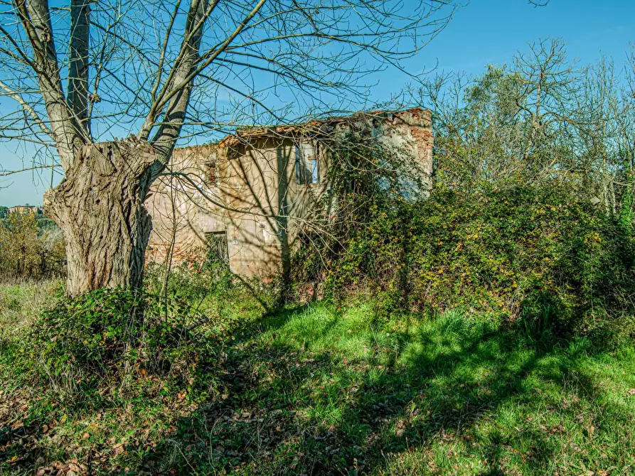 Immagine 4 di Casa colonica in vendita  a San Miniato