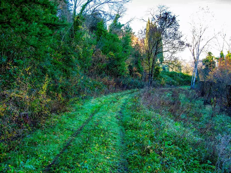 Immagine 6 di Casa colonica in vendita  a San Miniato