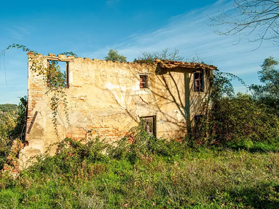 Immagine 1 di Casa colonica in vendita  a San Miniato