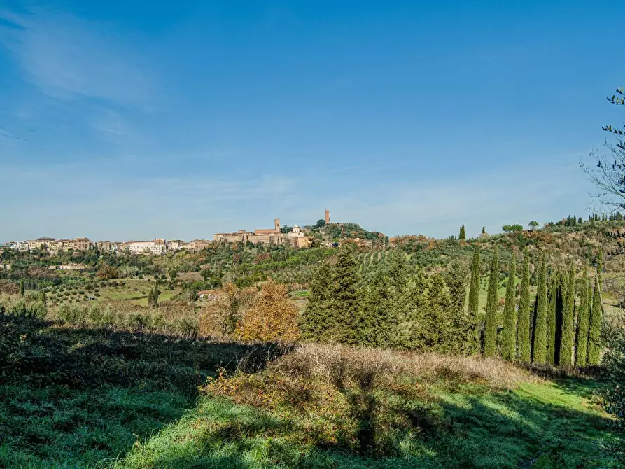 Immagine 7 di Casa colonica in vendita  a San Miniato