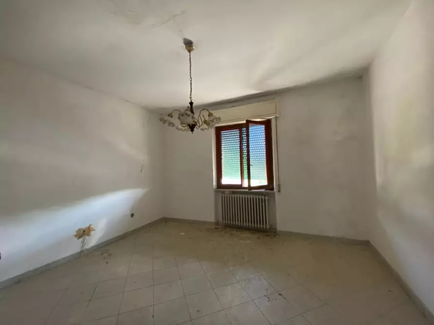 Immagine 11 di Appartamento in vendita  a Campiglia Marittima