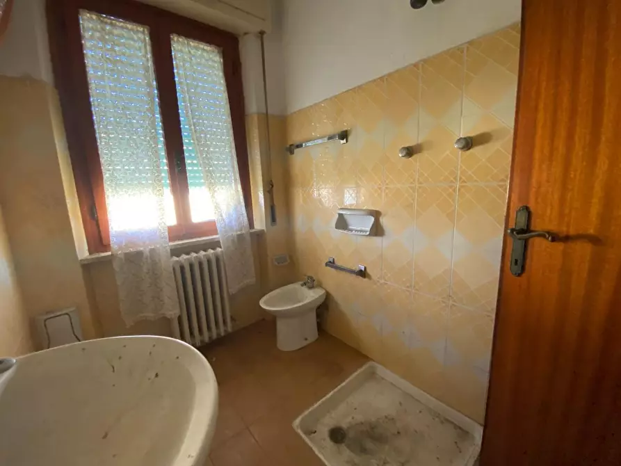 Immagine 7 di Appartamento in vendita  a Campiglia Marittima