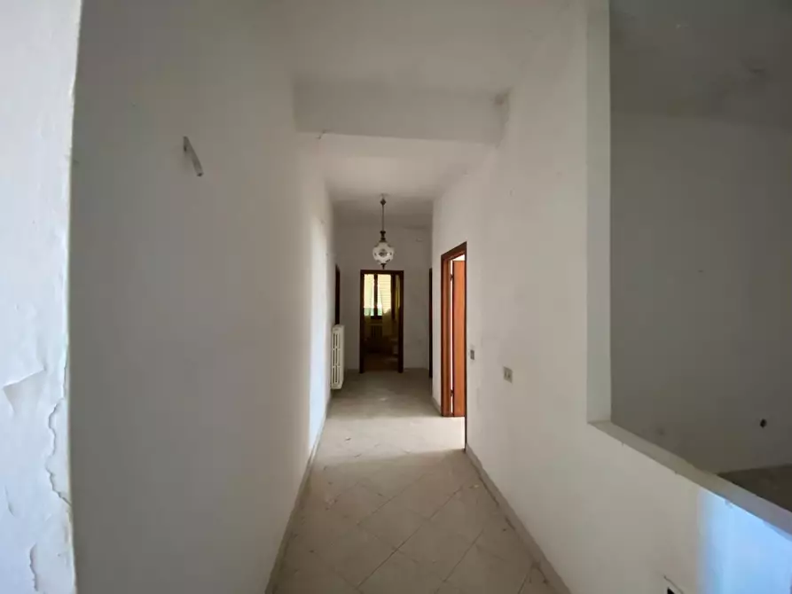 Immagine 4 di Appartamento in vendita  a Campiglia Marittima