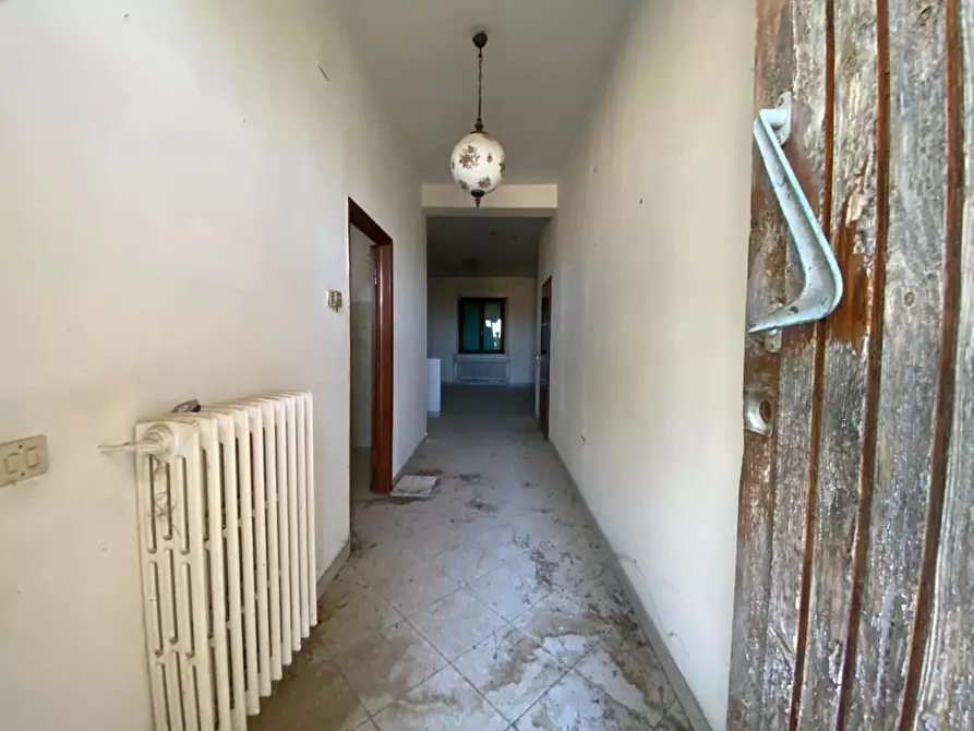 Immagine 3 di Appartamento in vendita  a Campiglia Marittima