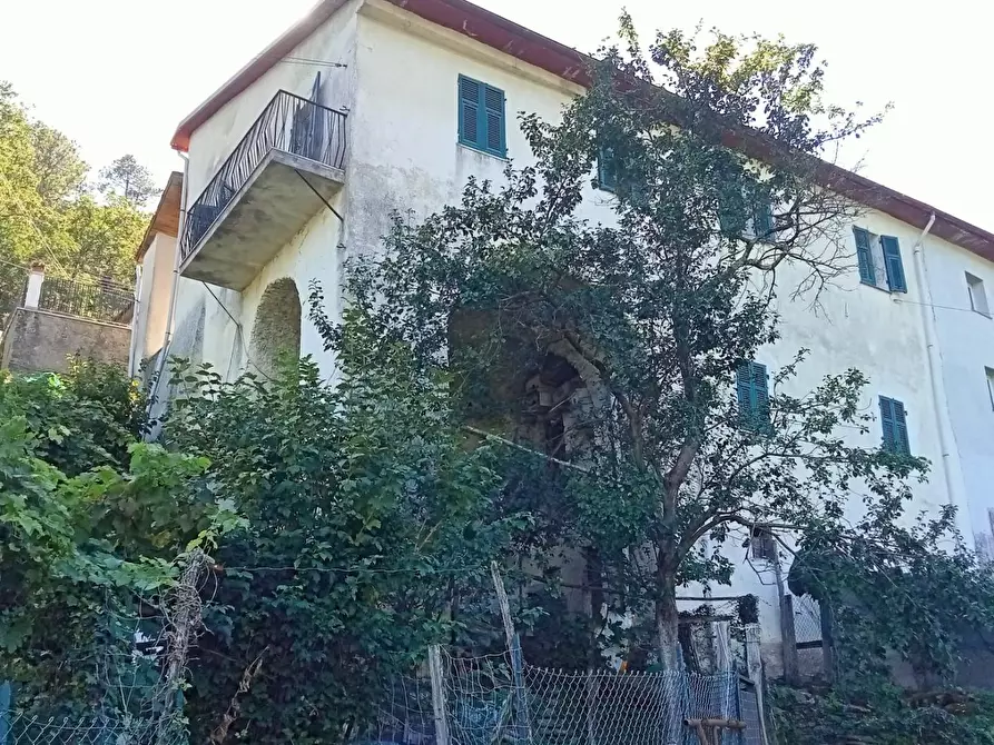 Immagine 4 di Porzione di casa in vendita  a Calice Al Cornoviglio