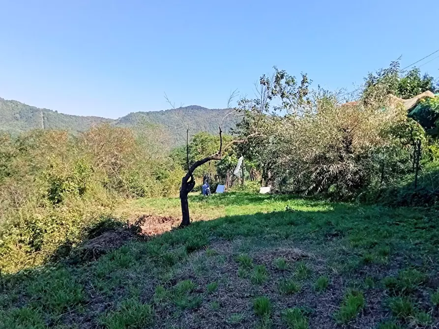 Immagine 22 di Porzione di casa in vendita  a Calice Al Cornoviglio