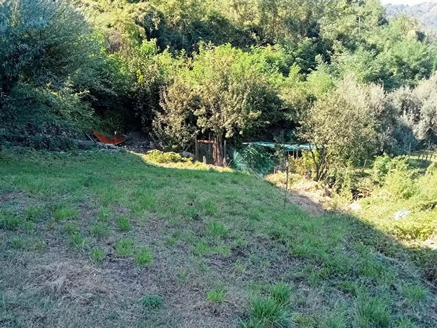 Immagine 21 di Porzione di casa in vendita  a Calice Al Cornoviglio