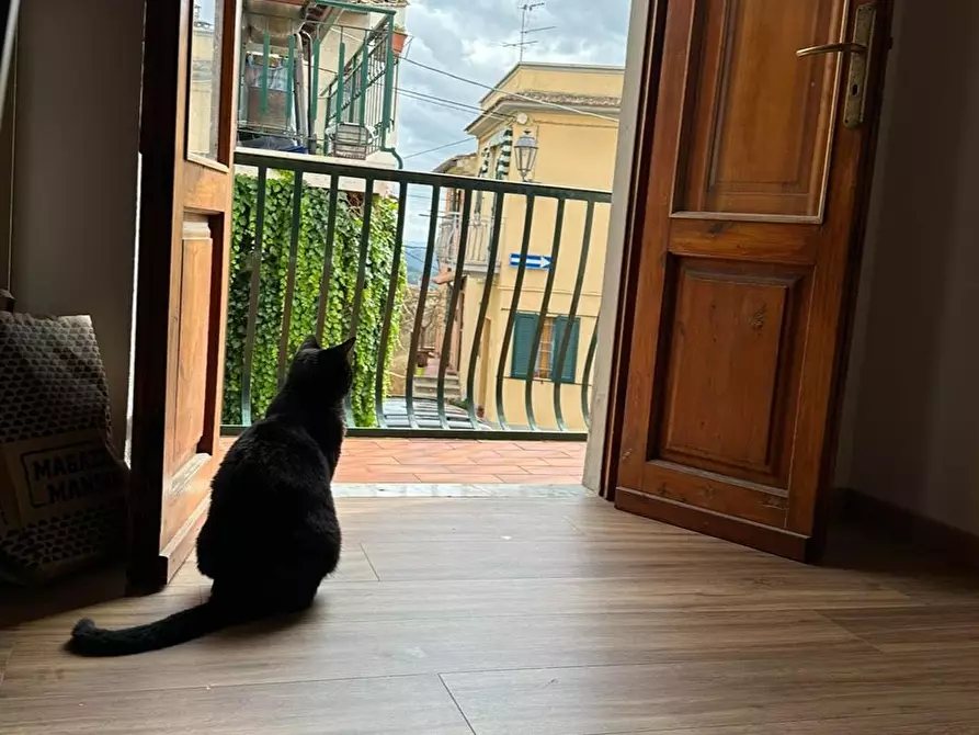 Immagine 4 di Appartamento in vendita  a Palaia