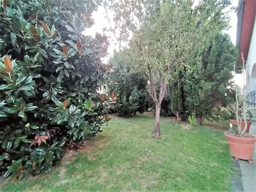 Immagine 9 di Casa indipendente in vendita  a Massa