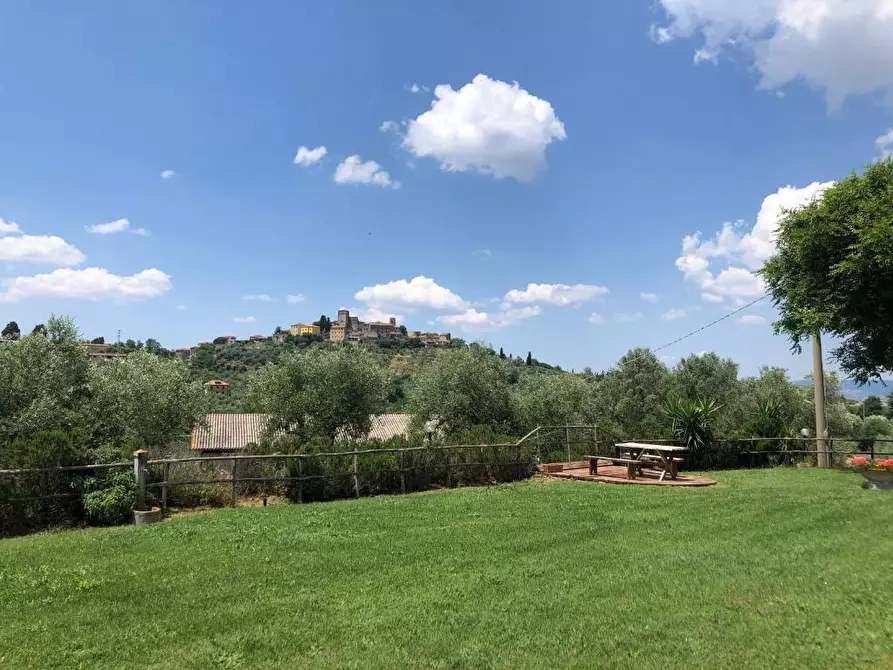 Immagine 2 di Terreno agricolo in vendita  a Manciano