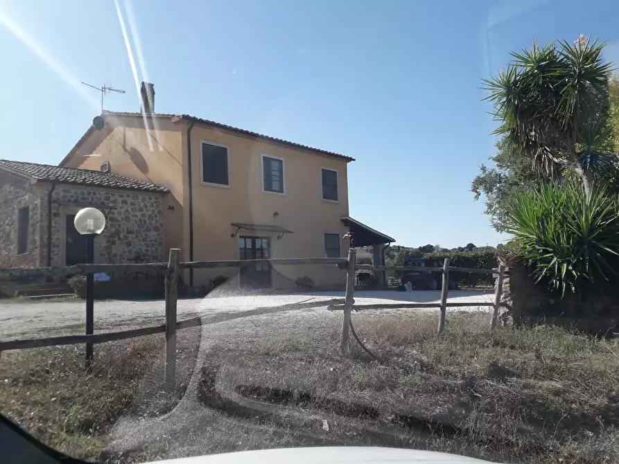 Immagine 3 di Terreno agricolo in vendita  a Manciano