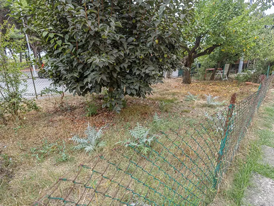 Immagine 21 di Appartamento in vendita  a Castelfranco Di Sotto