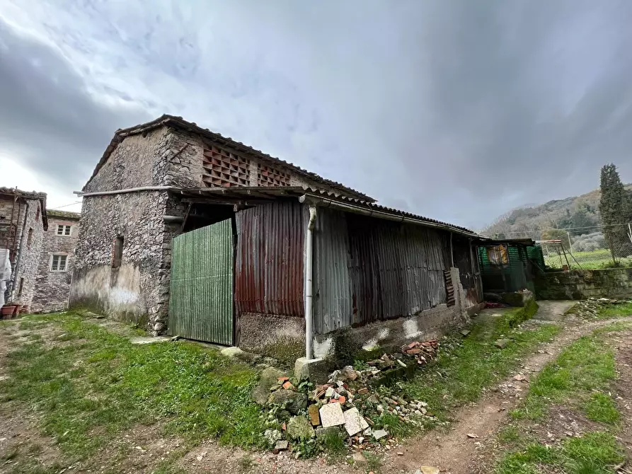 Immagine 4 di Terreno agricolo in vendita  a Lucca
