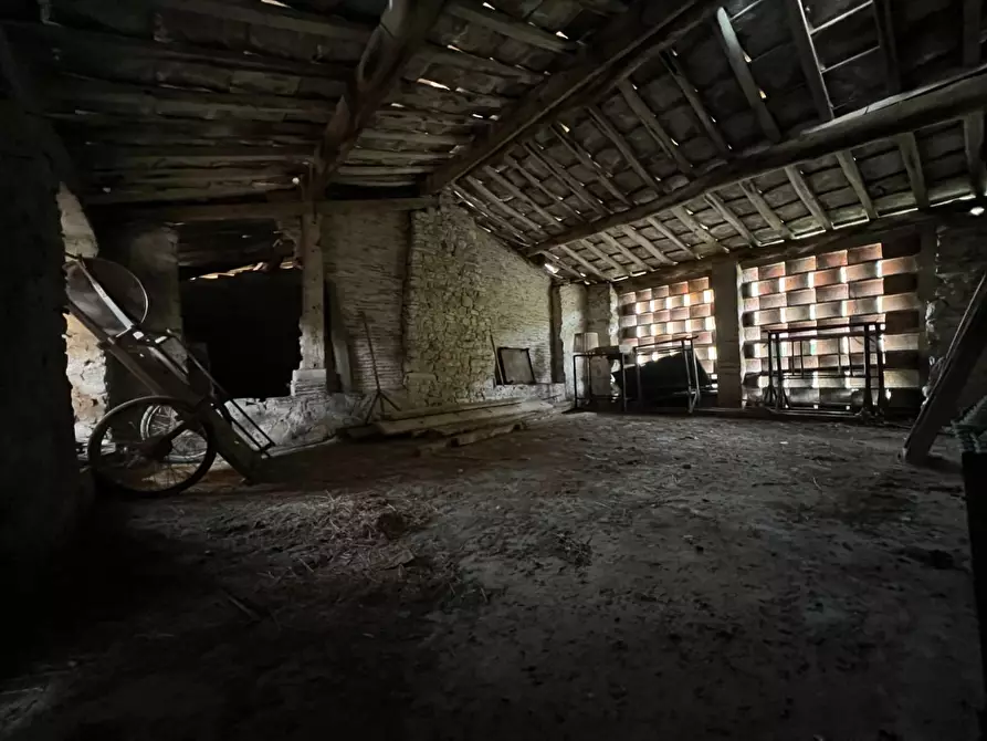 Immagine 8 di Terreno agricolo in vendita  a Lucca