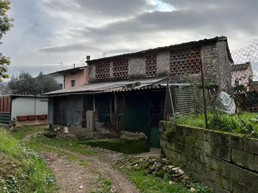 Immagine 2 di Terreno agricolo in vendita  a Lucca